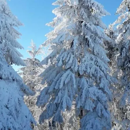 דירה Duennebacke שמאלנברג