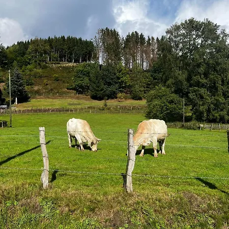 Duennebacke שמאלנברג