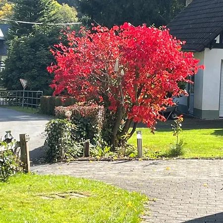 Duennebacke דירה *