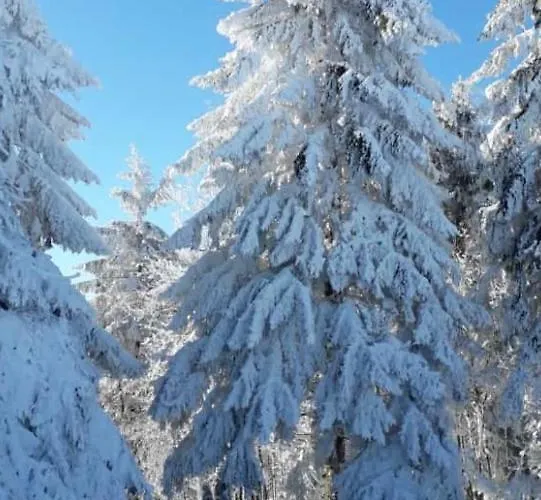 Apartment Duennebacke Schmallenberg