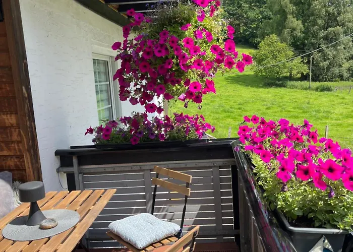 Apartment Duennebacke Schmallenberg